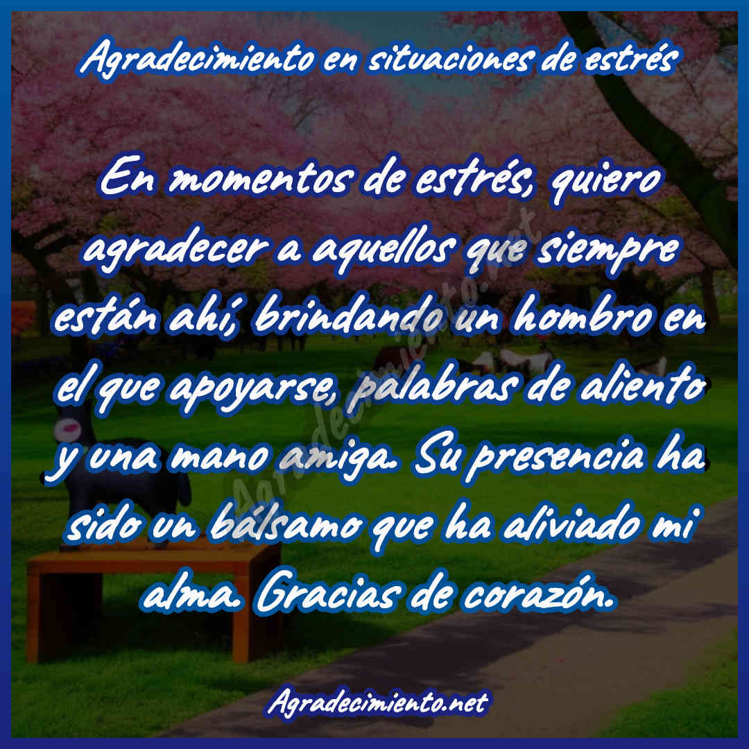 imagen para las dar gracias - agradecimiento en situaciones de estrés