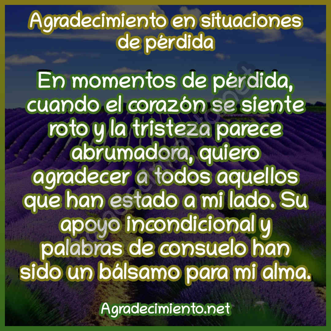 imagen con frase de agradecimiento en situaciones de pérdida